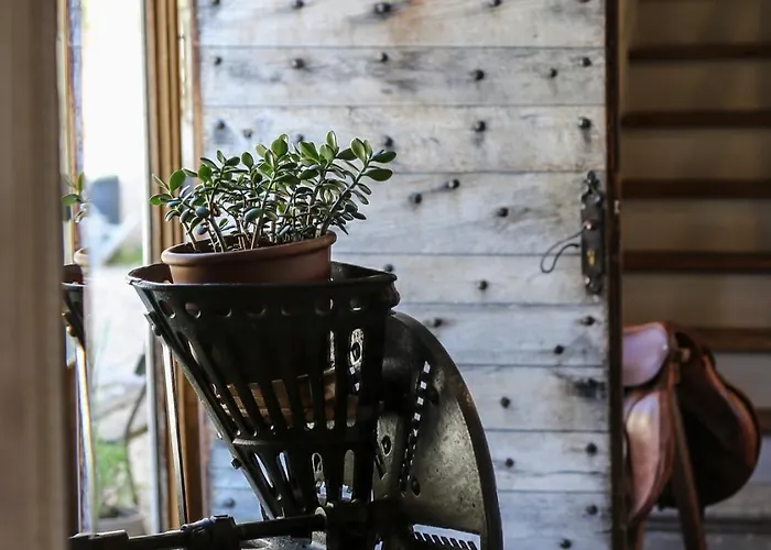 Ferienhaus Manoir Beauregard Dordogne Clermont-de-Beauregard